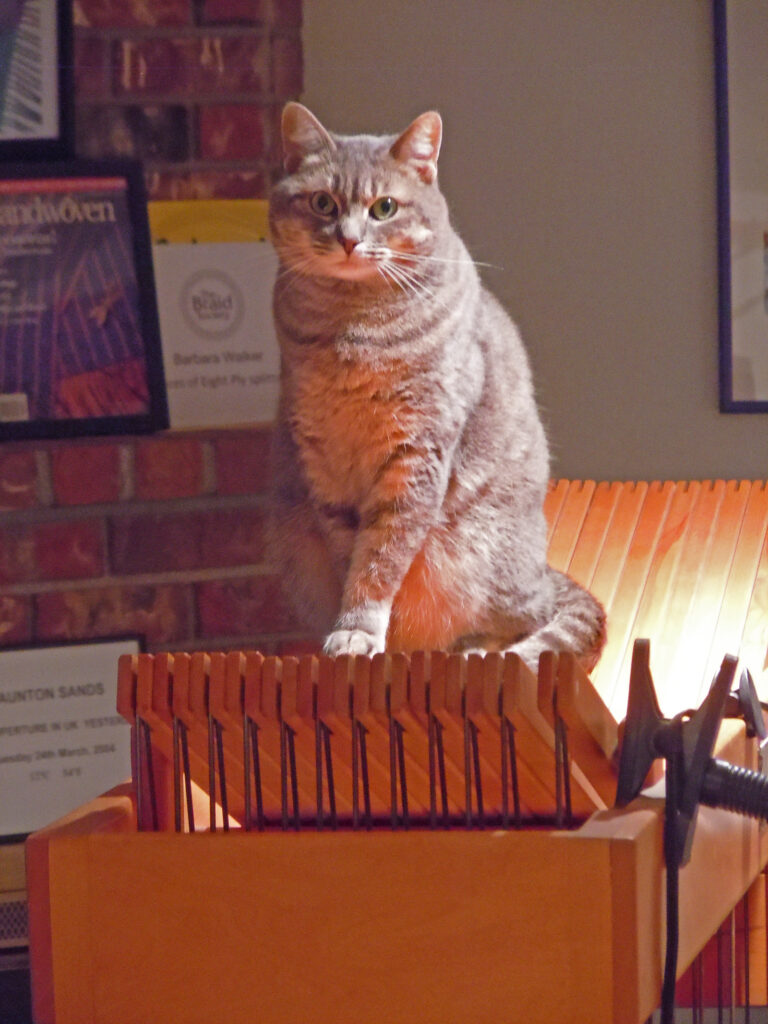 Studio Assistant March 2023 Fiber Artist, Barbara J. Walker